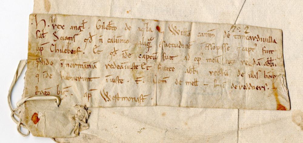 charte ancienne datant d’environ 1100 parlant des cétacés dans la Seine