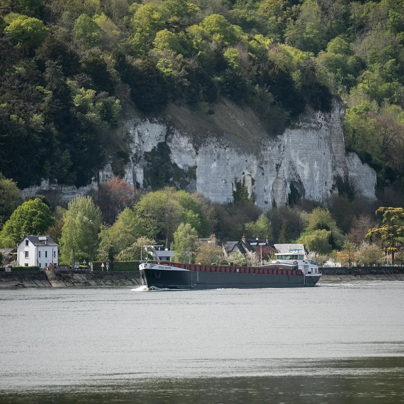 Forêt et falaise