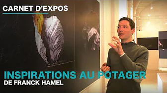 Carnet d’expos : Inspirations au potager de Franck Hamel
