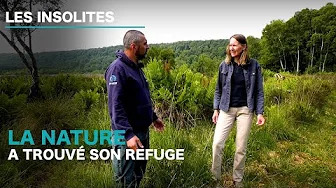 Les insolites d’Ariane : La nature a trouvé son refuge