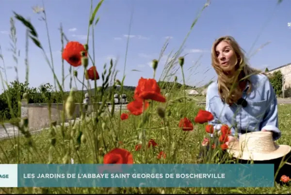 Jardins secrets - les jardins de l'abbaye Saint Georges de Boscherville