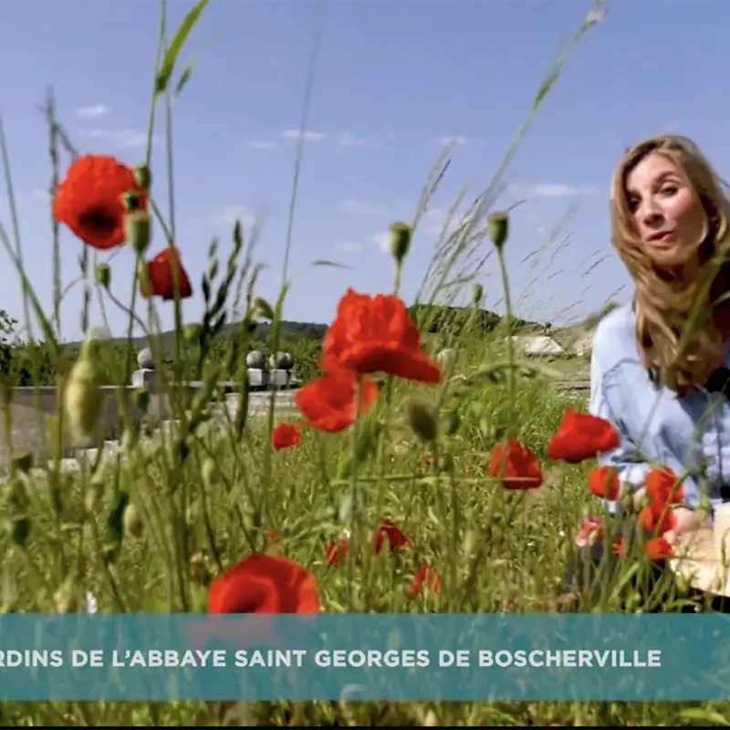 Jardins secrets - les jardins de l'abbaye Saint Georges de Boscherville